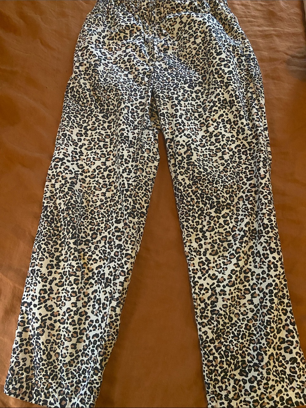 Urban Outfitters Leopard Print Pants in Cream and Brown